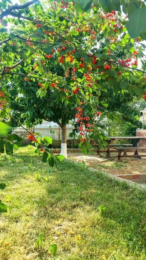 Apartman Dadic Malinska Croatia